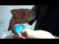 Prise en main de la Huawei Watch _ MWC 2015
