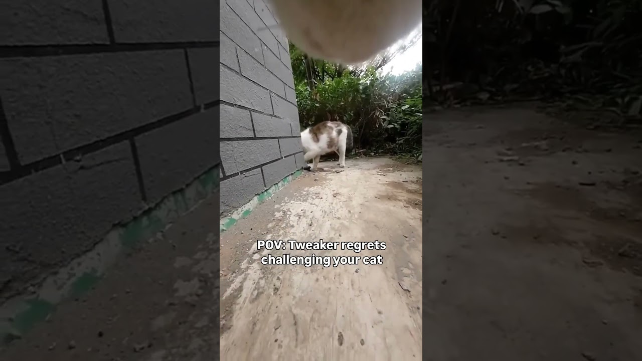 He litterally peed himself 😭