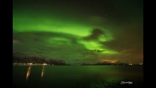 Auroras Fjordcamp krakberget Langoya Islas Vesteralen