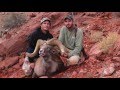 Arizona Desert Bighorn Sheep Hunting - Unit 12B