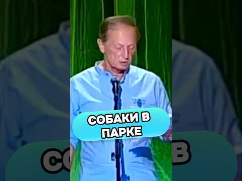 Михаил Задорнов - Собаки в парке #стендап #михаилзадорнов #смех #shorts