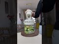 周末聚餐后就这么喝，再也不怕大鱼大肉吃多啦！西芹汁 清肠刮油 小仙女都在喝什么 榨汁机