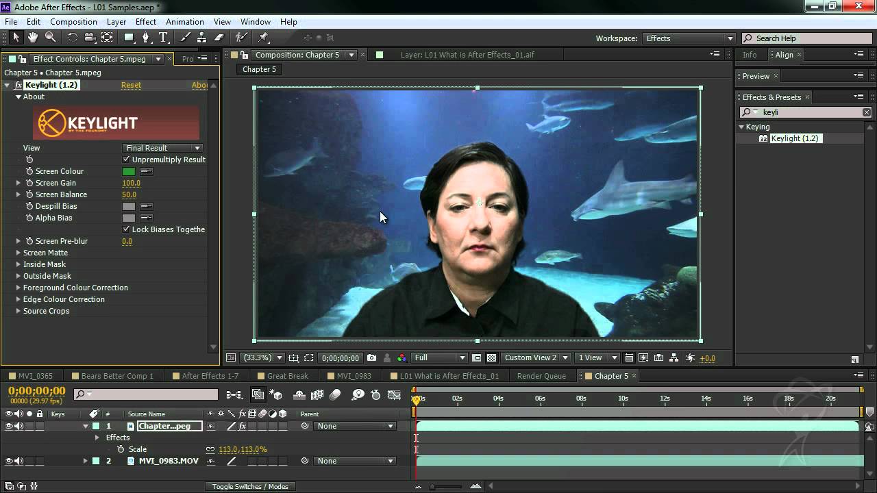 After Effects CS6 - What is After Effects? - YouTube