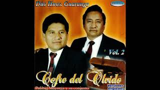 Video thumbnail of "Dúo Hnos. Guaranga - Adiós Vidita - Tonada - D.R.A."