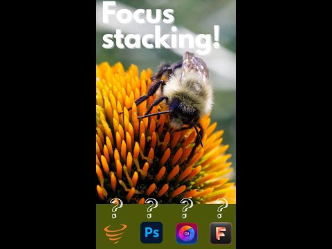 Vidéo: Quel est le meilleur logiciel de focus stacking ?