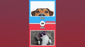 Would You Rather Questions Hard Edition - Impossible to Decide Part 21 #choices #quiz #kitten