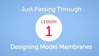 EiE - Just Passing Through: Designing Model Membranes Lesson 1 in Jersey City, NJ