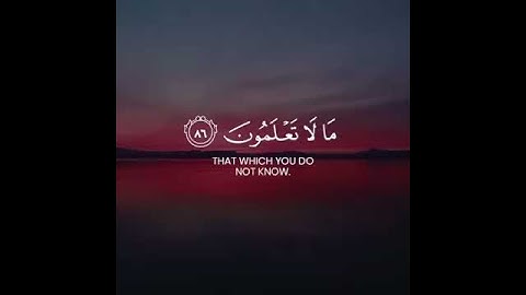 سورة يوسف ، مشاري فالح