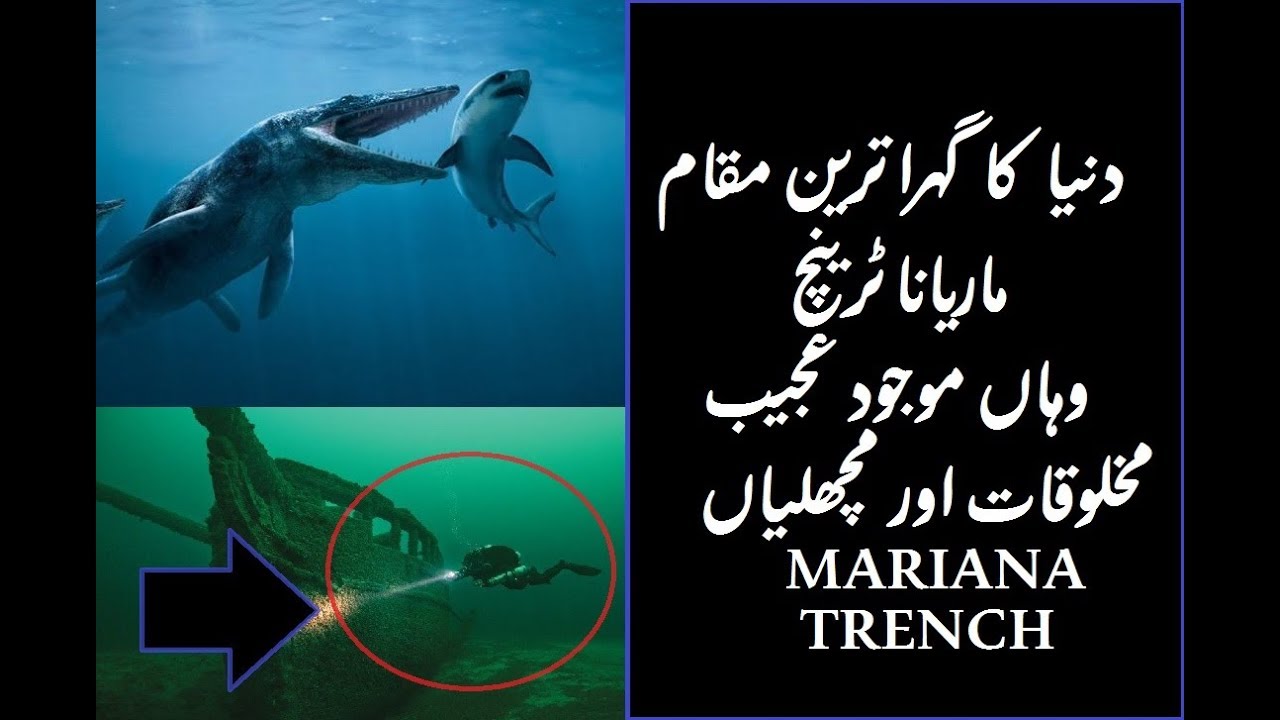 Mariana Trench Urdu Hindi Youtube