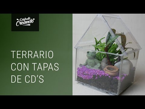 Como Hacer un Terrario con Tapas de CD's