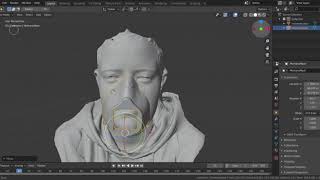 face mask with 3D scan screenshot 2