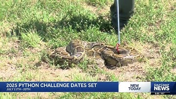 Registration open for 2025 Florida Python Challenge with $25K in prizes offered