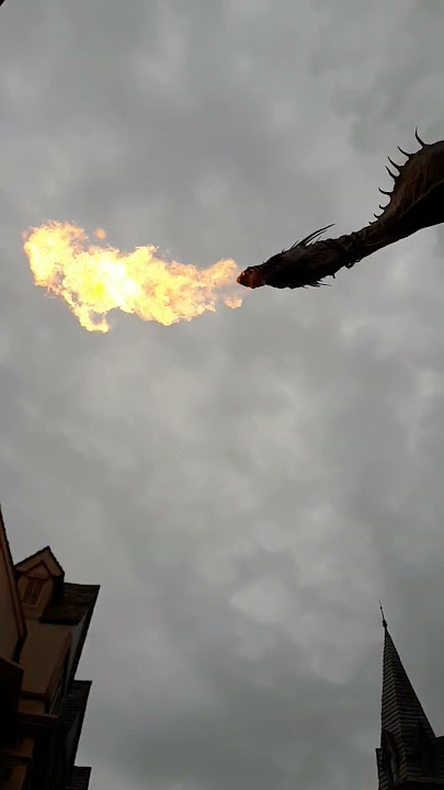 Universal Studios Orlando | Dragon Blowing Fire
