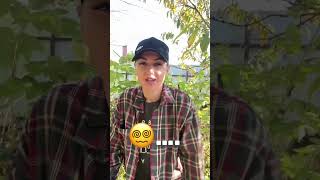 Строительство загородных домов на Кубани твоей мечты!