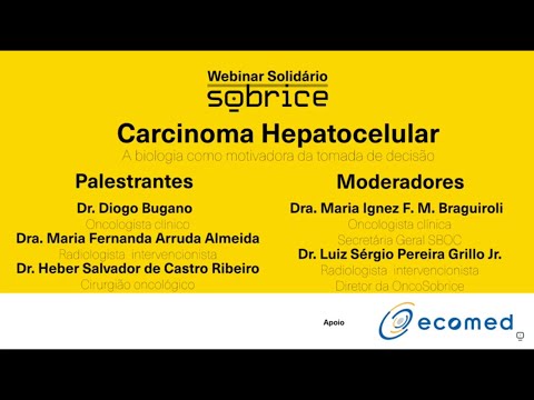 Vídeo: Aprendendo Gráficos Mutacionais Da Evolução De Tumores Individuais A Partir De Dados De Sequenciamento De Célula única E De Várias Regiões