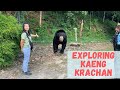 Learn Thai vocabularies related to hiking | Kaeng Krachan National Park