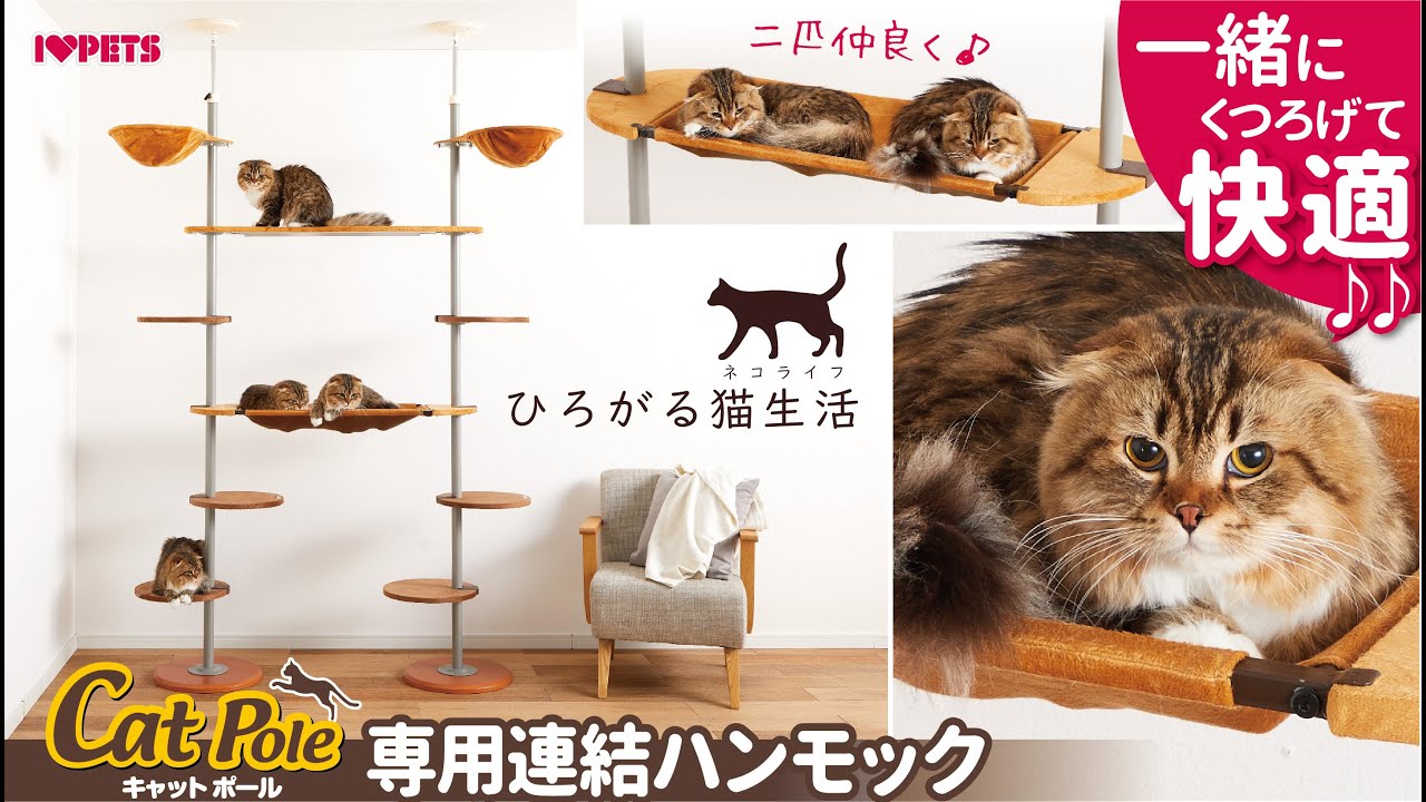 一緒に寝れる_キャットポール_専用_大型ハンモック_連結ハンモック_多頭飼い_ボンビアルコン猫_ボンビ猫_i_love_pets