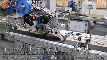 Carton box, card, bag top and bottom labeling machine