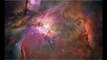 Discipline...#shorts #shortvideo #shortsfeed #shortsvideo