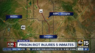Authorities say five inmates were seriously injured when fights broke
out at a state prison on arizona's southern border.