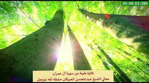 تلاوة طيبة من سورة آل عمران  - معالي الشيخ عبدالمحسن العبيكان -حفظه الله