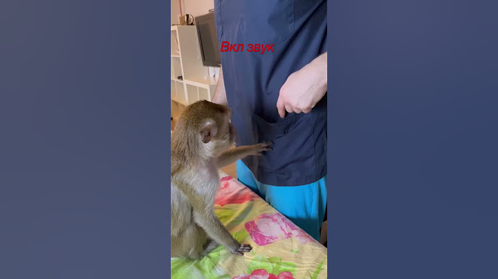 Обезьянки воришки