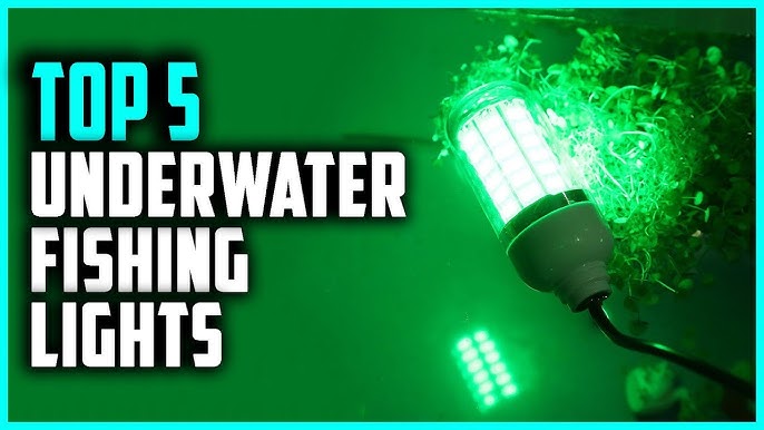 Underwater Light from , DOES IT WORK? (Bass & Crappie
