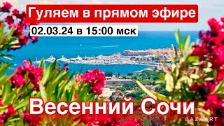 Прямой эфир! Погуляем в Сочи. Розыгрыш приза!