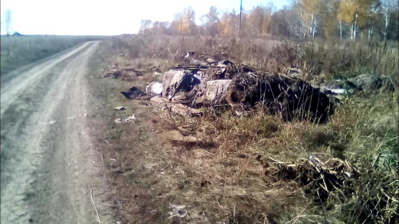 Погода верх камышенка алтайский край. Село верх Камышенка Алтайский край. Камышенка Петропавловский район Алтайский край. Алтайский край Петропавловский район село Камышенка. Верх-Камышенка Заринский район Заринский район.