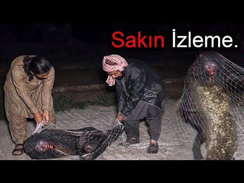 Korkunç Videolar. V62