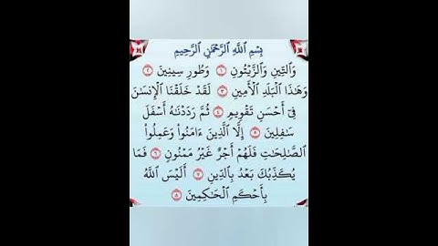 سورة التين مكتوبه