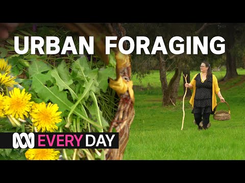 Seven Kinds Of Edible Plants That Anyone Can Find | Everyday Food | Abc Australia