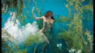 Video voorbeeld van "In fondo al mare - Cristina Donà"