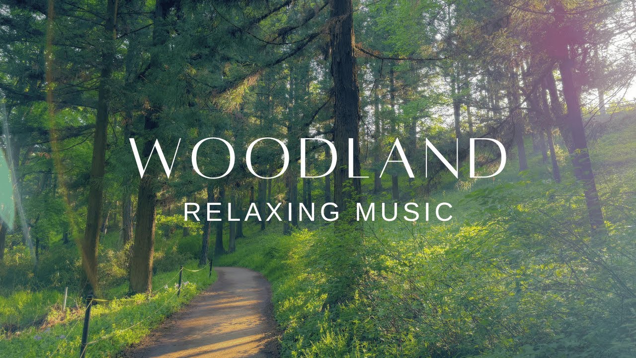 Relaxing Guitar and Piano | Stress Relief Calm | Woodland