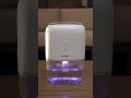 Sering Ketuker? Nih Bedanya Purifier &amp; Dehumidifier!