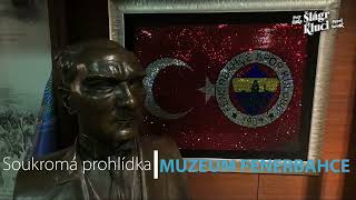 Soukromá prohlídka muzea Fenerbahce Istanbul