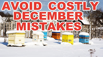 Beekeeping: AVOID Costly December Mistakes