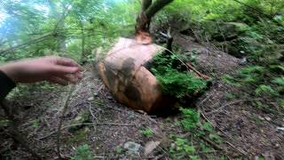 T2 Explores the Woods - Found a Camaro in a sinkhole!