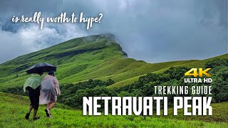 Netravati Monsoon Trek | Chickmagalur | July 2023 | Complete Guide