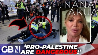 'TERRIFYING' proPalestine march 'left police SCARED' to do anything: 'Have to protest RESPONSIBLY!'