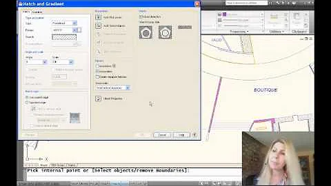 Fixing Gaps in Hatch Boundaries (Lynn Allen/Cadaly...