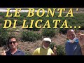 "Le bontà di Licata (AG) Sicilia"