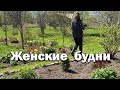 Женские будни//одна хозяйничаю на 40 сотках земли