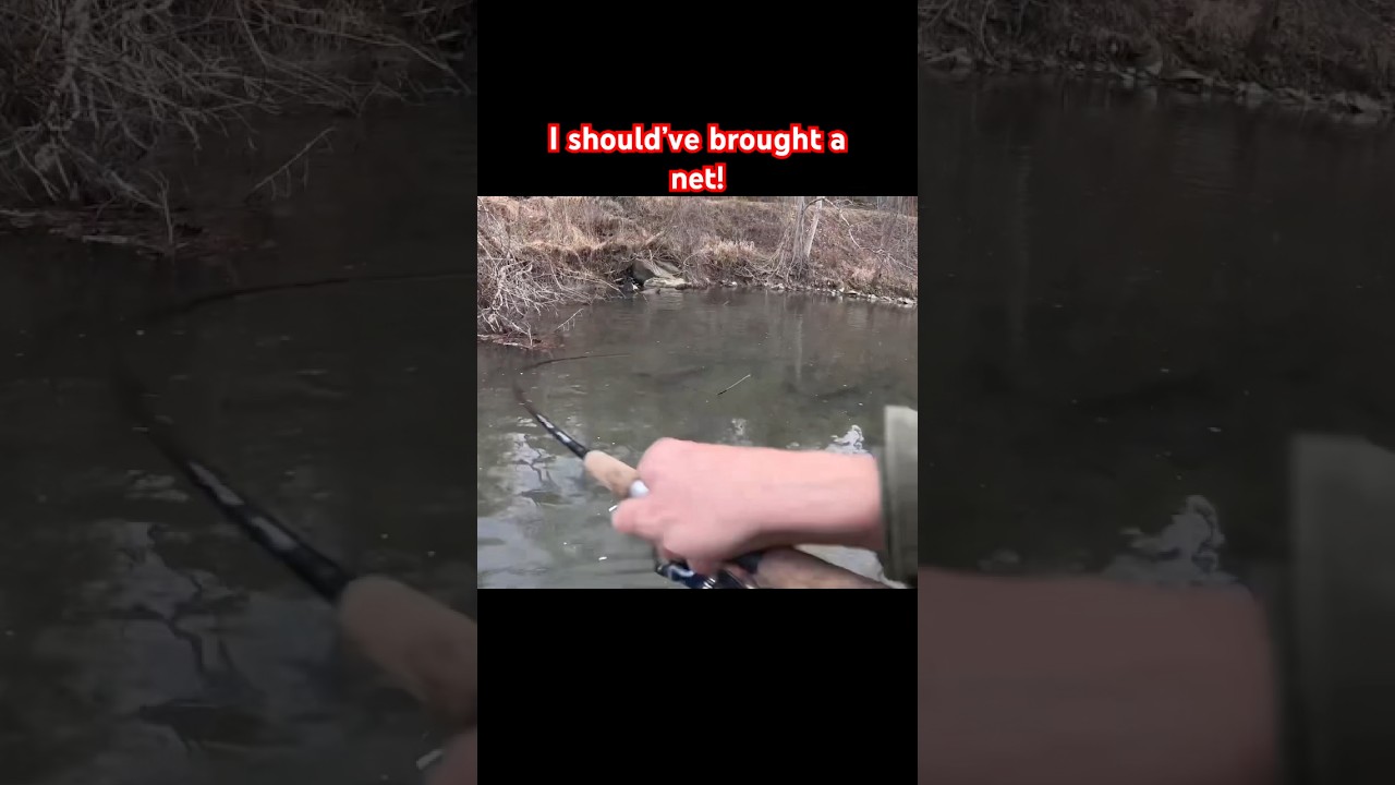 Мне нужна была сачок! 😭 