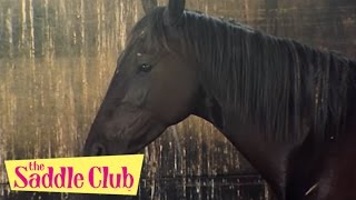 Watch Saddle Club Storm video
