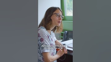 Why are scientists collecting gut microbes?