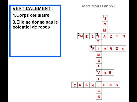 Vidéo: Qui imite un autre indice de mots croisés ?