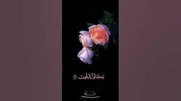 صباح الخير 🌷اجمل حالات واتس اب مقاطع قصيره🌷 قران كريم سورة يونس 🌷 القارئ سعد الغامدي🌷 بدون حقوق