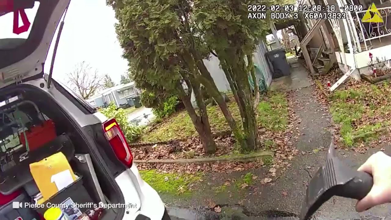 Firefighter rescues dog from burning home | FOX 13 Seattle - YouTube