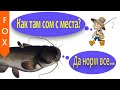 Сом с места, Ахтуба. Русская Рыбалка 4